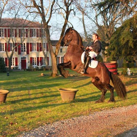 Le Relais Du Silence Chateau Lavail Labastide-dʼAnjou Екстериор снимка