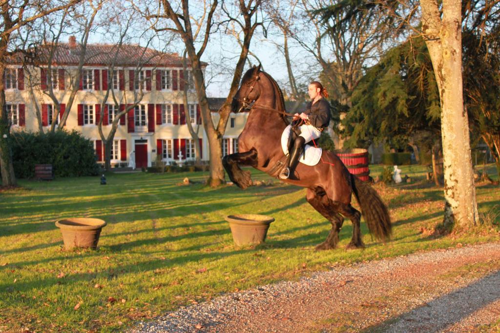Le Relais Du Silence Chateau Lavail Labastide-dʼAnjou Екстериор снимка