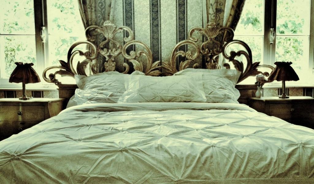 Le Relais Du Silence Chateau Lavail Labastide-dʼAnjou Стая снимка