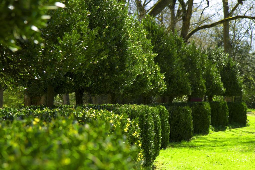 Le Relais Du Silence Chateau Lavail Labastide-dʼAnjou Екстериор снимка